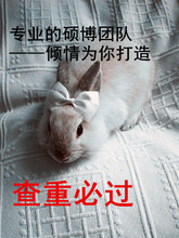 【毕业论文致谢模板+QQ943309350】最新最