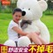 上下架计划:正版毛绒玩具熊公仔娃娃熊熊大熊瞌睡熊泰迪熊生日女友礼物大号