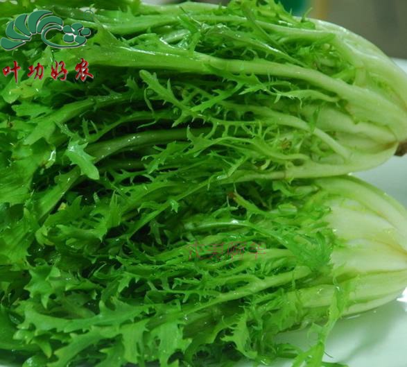 Fresh vegetables Bitter Ju Sonchus Dog teeth Lettuce salad Western Burden Lettuce Salad 250gin the Aquatic meat/Fresh fruits and vegetables/Cooked , Fresh vegetables/Vegetable products , Fresh vegetables , Other category - from Buy2taobao.com to provide professional Taobao agent buy service