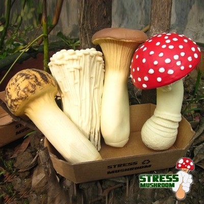 包邮创意发泄减压玩具蘑菇搞怪放松玩具仿真松茸金针发泄礼物在类目 玩具/童车/益智/积木/模型, 电子/发光/充气/整蛊玩具, 创意/整蛊玩具中 - 来自Buy2taobao.com提供专业的淘宝代购服务