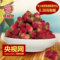 上下架计划:铭仙堂特级平阴玫瑰花茶 特级无硫粉玫瑰茶 50g包邮