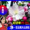 上下架计划:【滇稀物语_苹果花】特级苹果花茶健脾胃养胃茶 满58起包邮