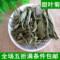 上下架计划:任意6件包邮 甜菊叶茶 特级甜叶菊茶50g无糖降血糖血脂瘦身花草茶