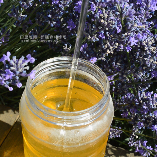 买3送1 薰衣草蜜新疆特产伊犁农家成熟结晶蜂蜜500g在类目 传统滋补营养品, 蜂蜜中 - 来自Buy2taobao.com提供专业的淘宝代购服务