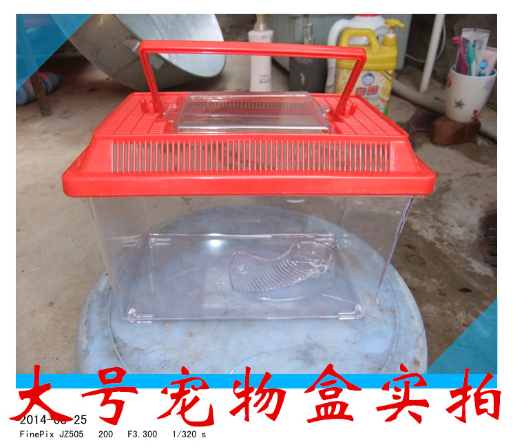 Snail/Large White jade Snail Pet Box living thing Snail Package cosmetologyin the Pet/Pet food and supplies , Reptile/Insects and supplies Ming , Reptile/Insect appliances Ming category - from Buy2taobao.com to provide professional Taobao agent buy service