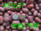 上下架计划:新疆若羌灰枣超特级未洗红枣吾塔木乡，子母河36团红枣，4斤包邮