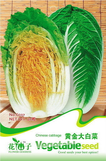 花仙子 蔬菜种子 黄金大白菜 满20包包邮想吃自己种哦