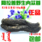 上下架计划:内蒙古阿拉善野生肉苁蓉滋补肾虚强身泡酒中药材大芸20cm包邮
