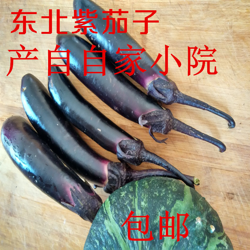 Northeast Vegetables fresh Long-term Eggplant Farm Production And sell Pollution Boilin the Aquatic meat/Fresh fruits and vegetables/Cooked , Fresh vegetables/Vegetable products , Fresh vegetables , Other category - from Buy2taobao.com to provide professional Taobao agent buy service