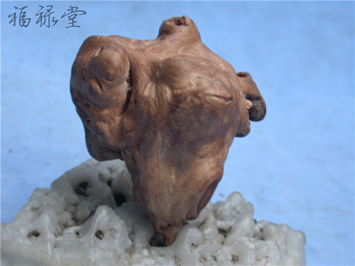 Cherry wood Zhangmu Burl carving Pictograms Wood Handle piece Kungfu Online Tea darling tea set parts 110in the Home accessories , Carving , Root category - from Buy2taobao.com to provide professional Taobao agent buy service