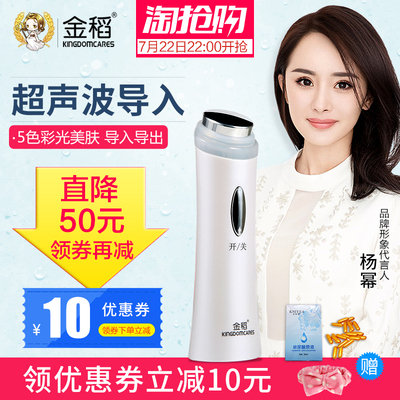 金稻超声波导入仪面部排毒仪器电子美容仪家用导入导出脸部按摩器