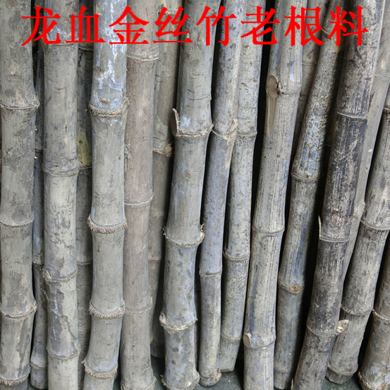 Gold Sizhu raw material Bracelet Hand string Beads beads solid Bamboo Products diy manual carving 200in the Accessories/Fashion Jewelry, Beads/Wooden bracelets , Beads/Prayer beads category - from Buy2taobao.com to provide professional Taobao agent buy service