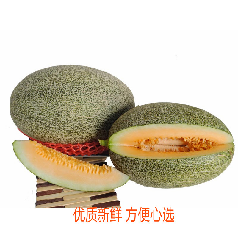 哈密瓜1斤西州蜜哈密瓜新鲜水果深圳同城配送关内2-3小时送达5斤在类目 水产肉类/新鲜蔬果/熟食, 新鲜水果, 哈密瓜中 - 来自Buy2taobao.com提供专业的淘宝代购服务