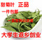 上下架计划:甜叶菊 甜叶菊茶 甜菊叶 干甜叶菊250克包邮限地区