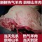上下架计划:农家散养崇明山羊肉 热气羊肉 新鲜羊肉羊排羊腿当天现杀250g到货