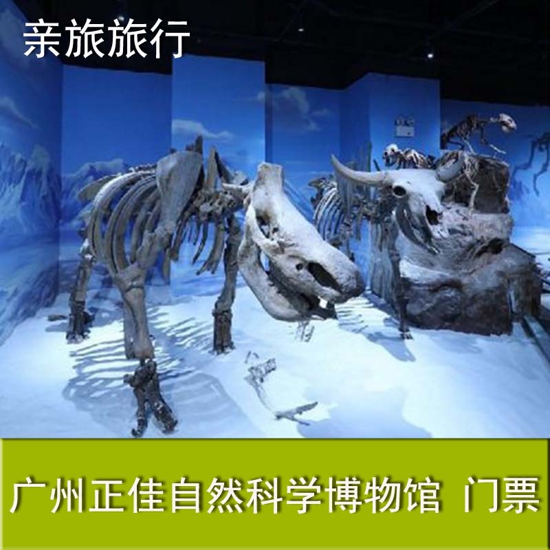 广东 广州 正佳自然科学博物馆 大门票 成人票在类目 景点门票/实景演出/主题乐园, 国内票务中 - 来自Buy2taobao.com提供专业的淘宝代购服务