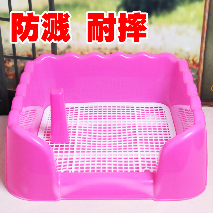 Thailand Mini Little pigs Pet pig toiletin the Pet/Pet food and supplies , Class pet hamsters and other small , Pigs category - from Buy2taobao.com to provide professional Taobao agent buy service