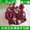 上下架计划:任意6件包邮 康乃馨花茶 纯天然 康乃馨干花 50g 排毒养颜 祛斑茶