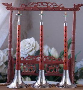 唢呐教材 唢呐曲谱 唢呐书籍 唢呐光盘 从零起步