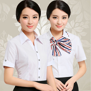 夏装女士竖条纹职业短袖衬衫韩版修身白色半袖女衬衣加大码工正装