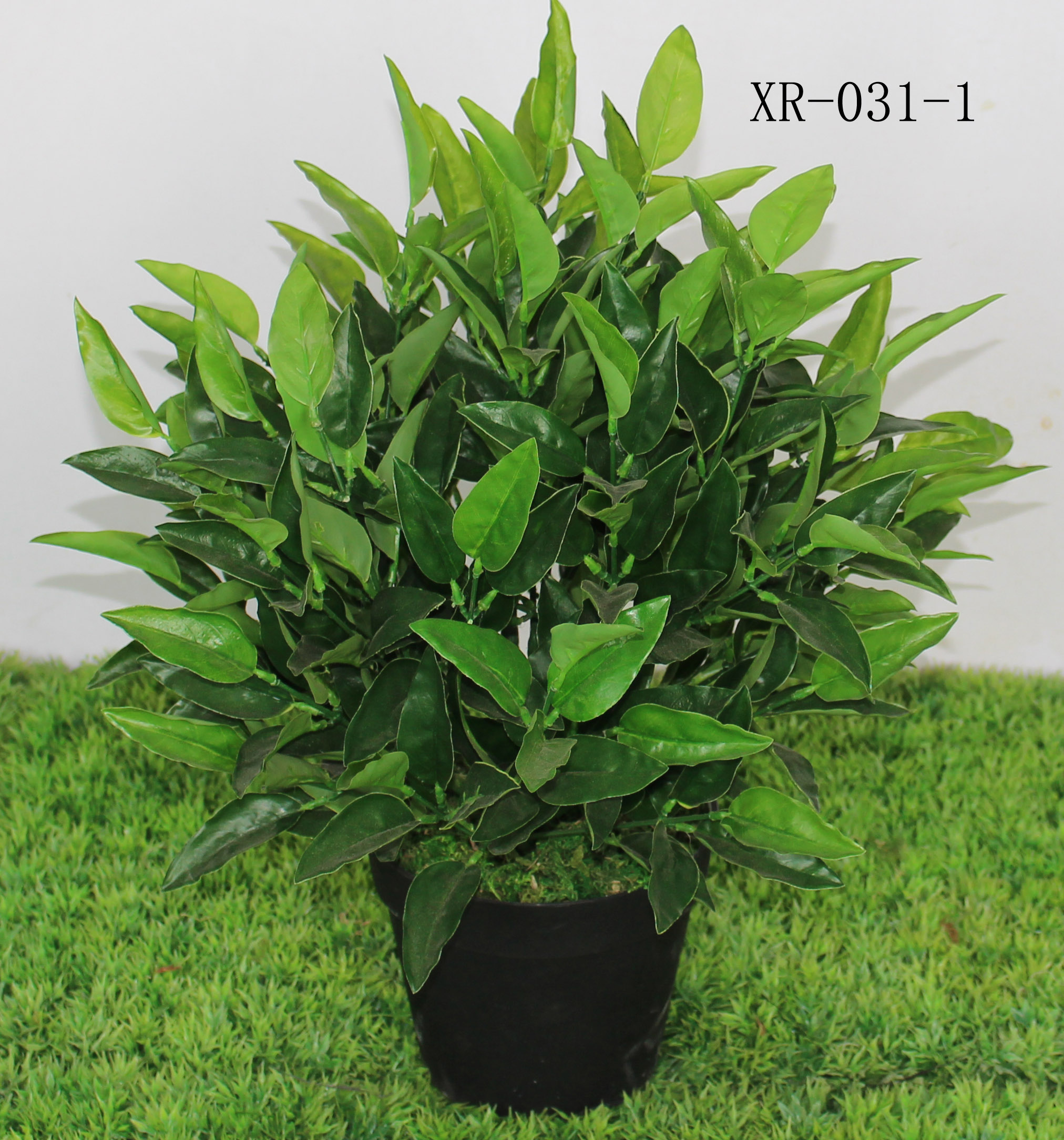 仿真植物迷你小盆栽月桂叶客厅树橄榄叶球形桌摆盆景装饰厂家直销|ruв категории Домашний быт, ваза/цветок/искусственные цветы/моделирование украшения, бонсай моделирования растений - от Buy2taobao.com для оказания профессиональной услуги покупки агента Taobao