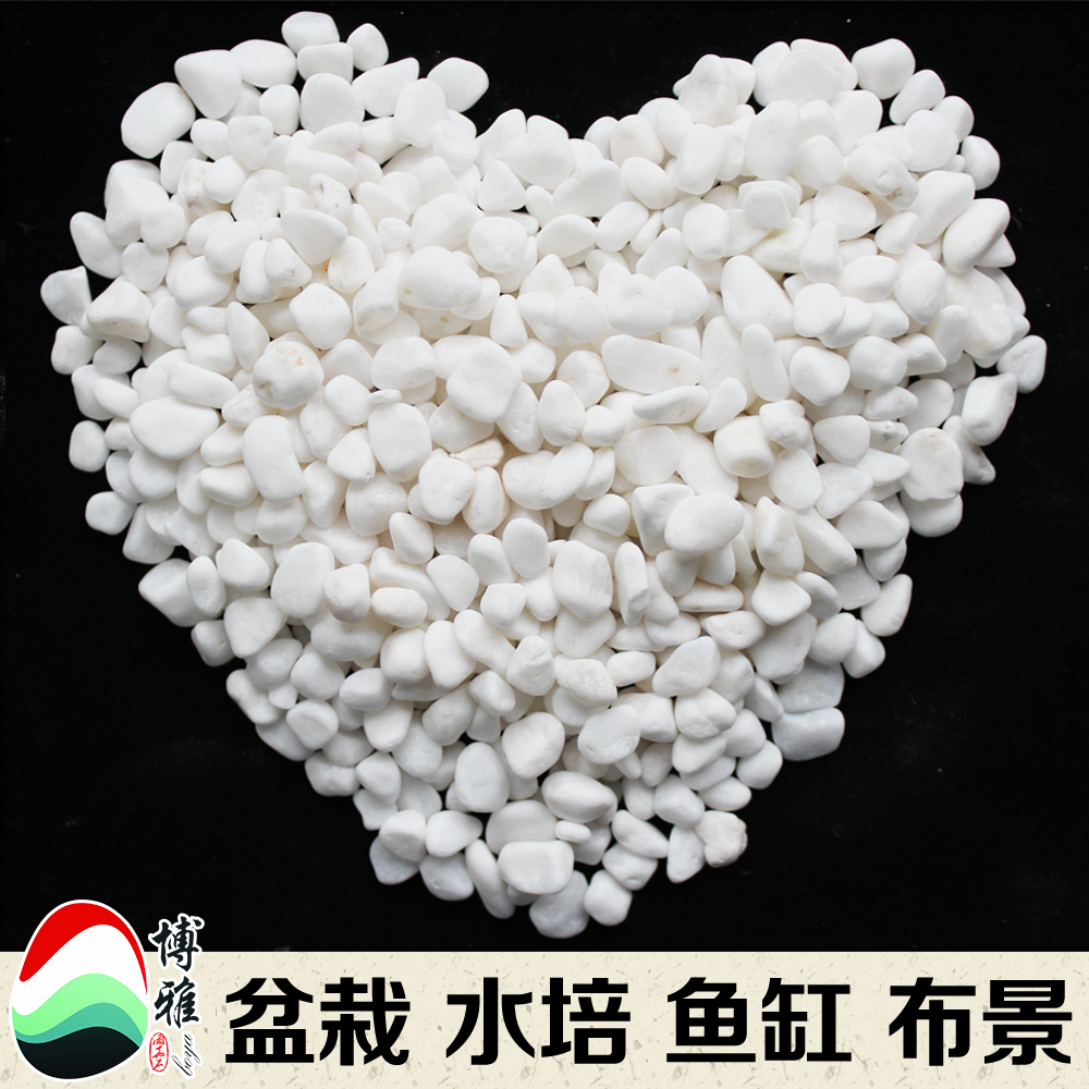 白石子白色小石頭天然大鵝卵石多肉鋪面花盆栽陽台庭院裝飾鵝軟石在類目 鮮花速遞/花卉仿真/綠植園藝, 園藝用品, 其它園藝用品中 - 來自Buy2taobao.com提供專業的淘寶代購服務