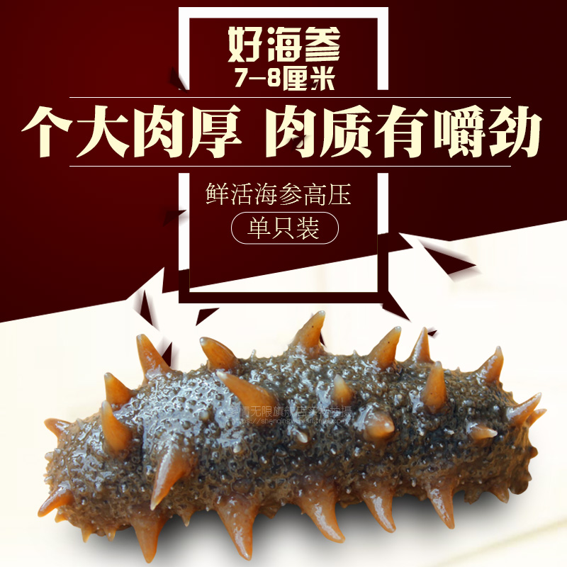 参情无限 即食海参7-8cm新鲜即食海参刺参高压海鲜冻水产满额包邮在类目 水产肉类/新鲜蔬果/熟食, 海鲜/水产品/制品, 海参中 - 来自Buy2taobao.com提供专业的淘宝代购服务