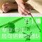 上下架计划:本科硕士专科论文发表教育医学职称代发期刊毕业发表文章推荐