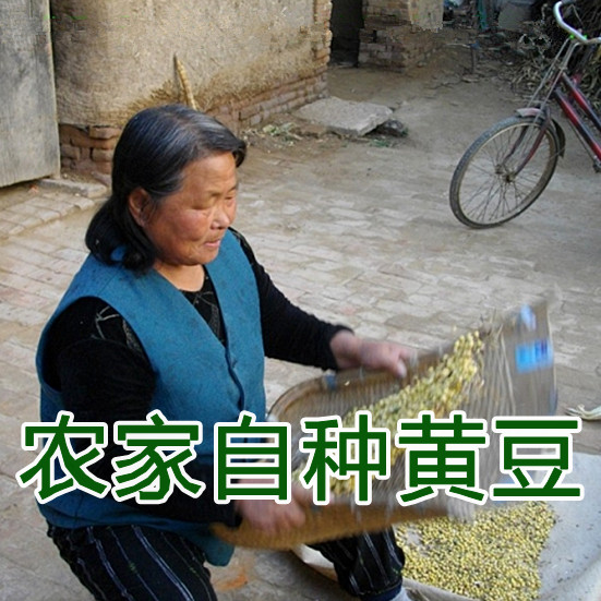 农家自种小黄豆非转基因豆浆专用可做种子可发豆芽500克|ruв категории зерно риса/север и Юг сухих грузов/приправы, метров/муки/зерновые, фасоль, соя - от Buy2taobao.com для оказания профессиональной услуги покупки агента Taobao