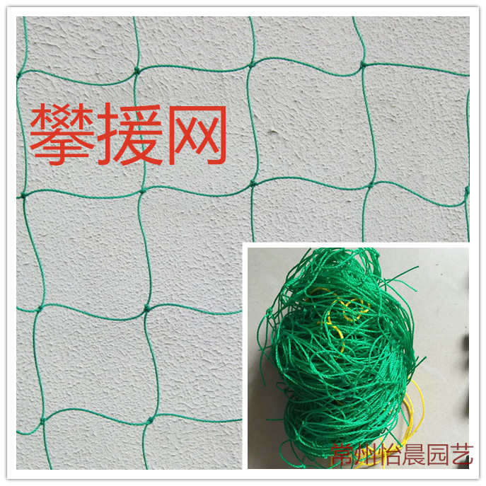热卖瓜果牵牛花攀援网黄瓜牵牛花攀爬植物架网尼龙网园艺爬藤网|ruв категории доставка цветов/цветок моделирования/растения садоводства, садовых принадлежностей, других садовых принадлежностей - от Buy2taobao.com для оказания профессиональной услуги покупки агента Taobao