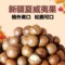 上下架计划:12月新货 夏威夷果奶油口味 澳洲坚果特产零食 送开口器250g*2份