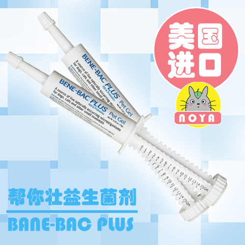 24省包郵【NOYA】美國Bene-Bac幫妳壯益生菌針劑15G 調節腸胃腹瀉在類目 寵物/寵物食品及用品, 貓/狗保健品中 - 來自Buy2taobao.com提供專業的淘寶代購服務