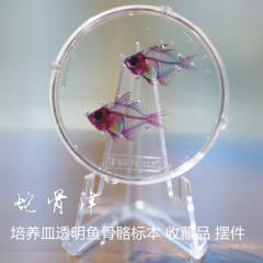 古代建筑物房顶上的龙、虎、蛇装饰物叫什么?