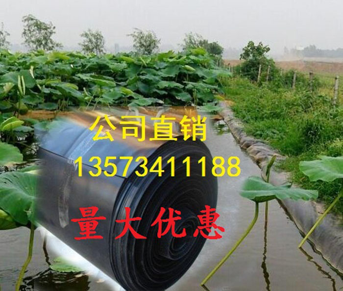 HDPE防滲膜 蓄水池防滲膜 水産養殖專用防滲膜 魚塘防滲膜 藕池膜在類目 基礎建材, 防水材料中 - 來自Buy2taobao.com提供專業的淘寶代購服務
