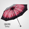 产地货源防晒小黑伞防紫外线超轻晴雨伞，单层遮阳伞创意太阳伞