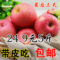 上下架计划:山东特产 烟台栖霞红富士 小苹果5斤实惠装10-12个 新鲜水果包邮