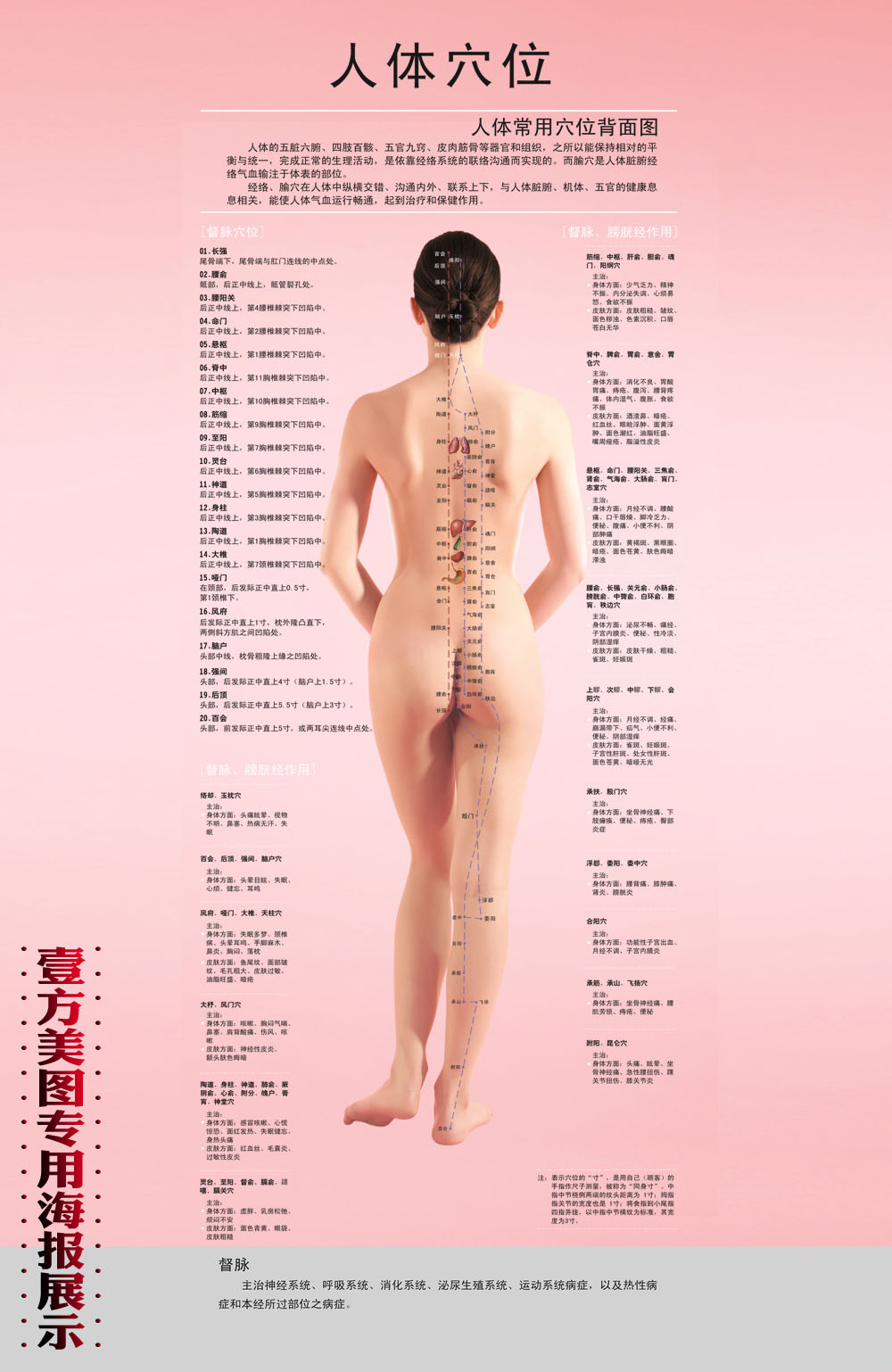 2015高清定制大挂画家用中医美体养生保健穴位图全息女性人体经络|msdalam kategori adat peribadi/Design Services/DIY, setiap hari/adat hiasan, photo/percetakan poster - dari Buy2taobao.com untuk memberikan perkhidmatan ejen Taobao profesional membeli