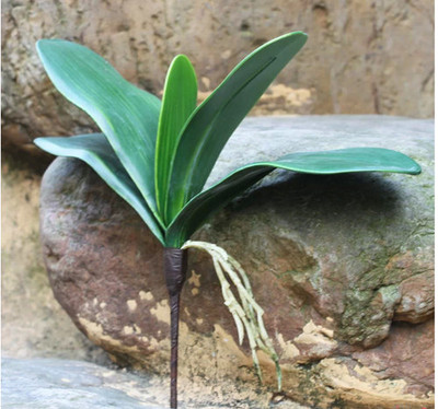 仿真花草手感过胶蝴蝶兰叶 假叶家居饰品花卉兰花叶子