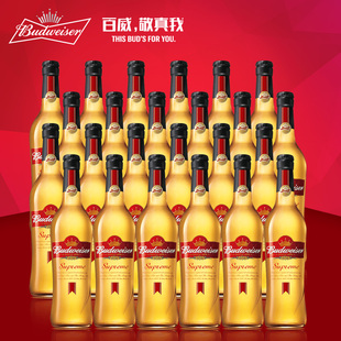 budweiser/百威金尊啤酒500ml*24瓶 高端商务宴请 婚宴礼节