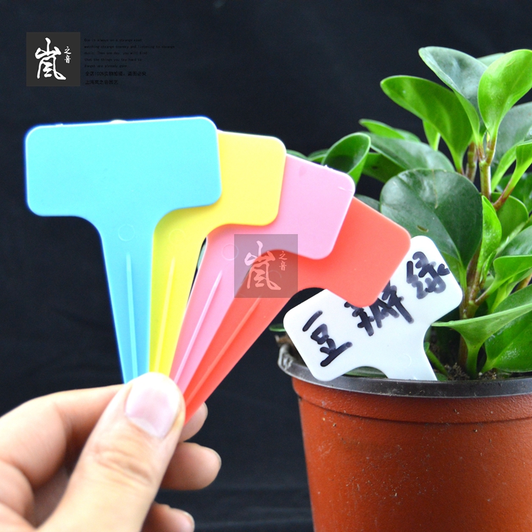 注塑加厚版T形标签 园艺插地牌 园艺标签 植物插牌 区分各类植物|ruв категории доставка цветов/цветок моделирования/растения садоводства, садовых принадлежностей, других садовых принадлежностей - от Buy2taobao.com для оказания профессиональной услуги покупки агента Taobao