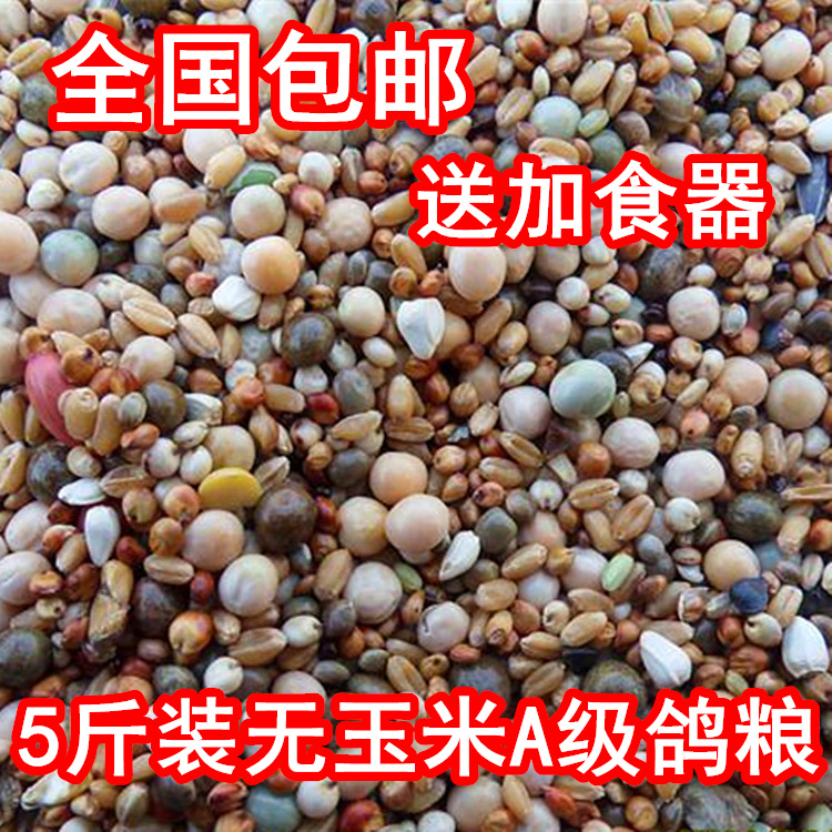 包邮A级鸽粮 无玉米幼鸽饲料 5斤装|msdalam kategori haiwan peliharaan/makanan haiwan dan bekalan, Burung dan bekalan, makanan burung - dari Buy2taobao.com untuk memberikan perkhidmatan ejen Taobao profesional membeli