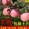 上下架计划:（五亩庄园）2014年新鲜苹果水果 富士苹果 红富士 灵宝苹果包邮