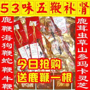 53味五鞭补肾养生泡酒料批发药酒配方正宗泡