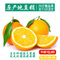 上下架计划:赣南脐橙20斤精品果江西特产新鲜水果寻乌信丰甜橙子孕妇榨汁现摘