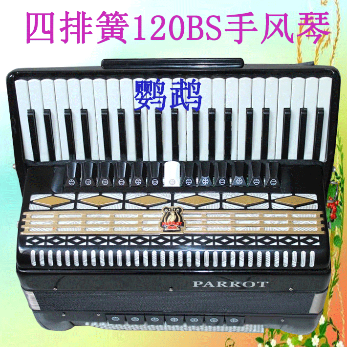the parrot 120 four row spring bass accordion pl