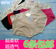 彩伊婷250中腰女内裤，竹炭纤维薄款柔软透气性感女士三角底裤紫色
