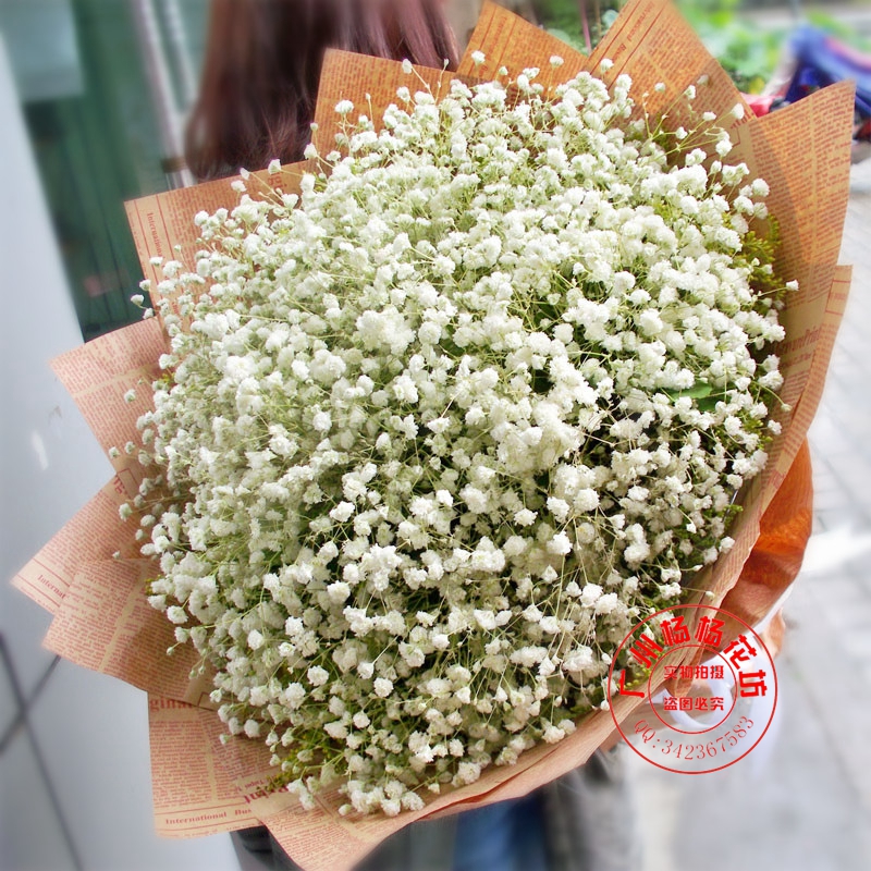 满天星鲜花广州万达广场体育中心荔湾区鲜花店花都南沙番禺送花在类目 鲜花速递/花卉仿真/绿植园艺, 鲜花速递(同城)中 - 来自Buy2taobao.com提供专业的淘宝代购服务