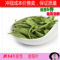 上下架计划:甜叶菊 花草茶 甜菊叶茶特级甜叶菊茶 无糖减脂降糖 特价包邮50克
