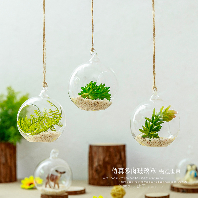 创意小清新微景观玻璃瓶绿植吊饰幼儿园办公室挂饰童装店装修装饰在类目 家居饰品, 壁饰中 - 来自Buy2taobao.com提供专业的淘宝代购服务
