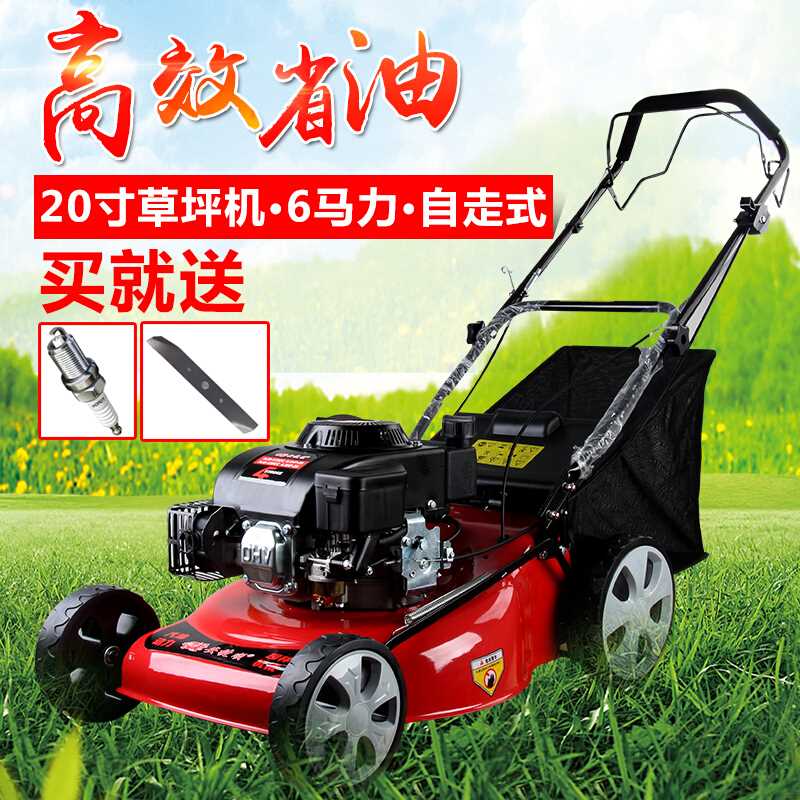 安捷顺草坪机6马力手推割草机20吋自走四冲程汽油剪草机园林机械在类目 鲜花速递/花卉仿真/绿植园艺, 园艺用品, 割草机/草坪机中 - 来自Buy2taobao.com提供专业的淘宝代购服务